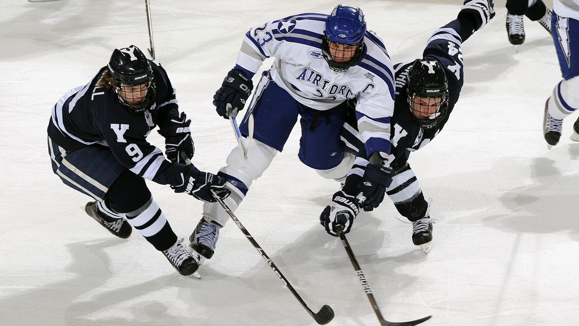 体育焦点快讯栏目热度攀升,体育热点事件2021